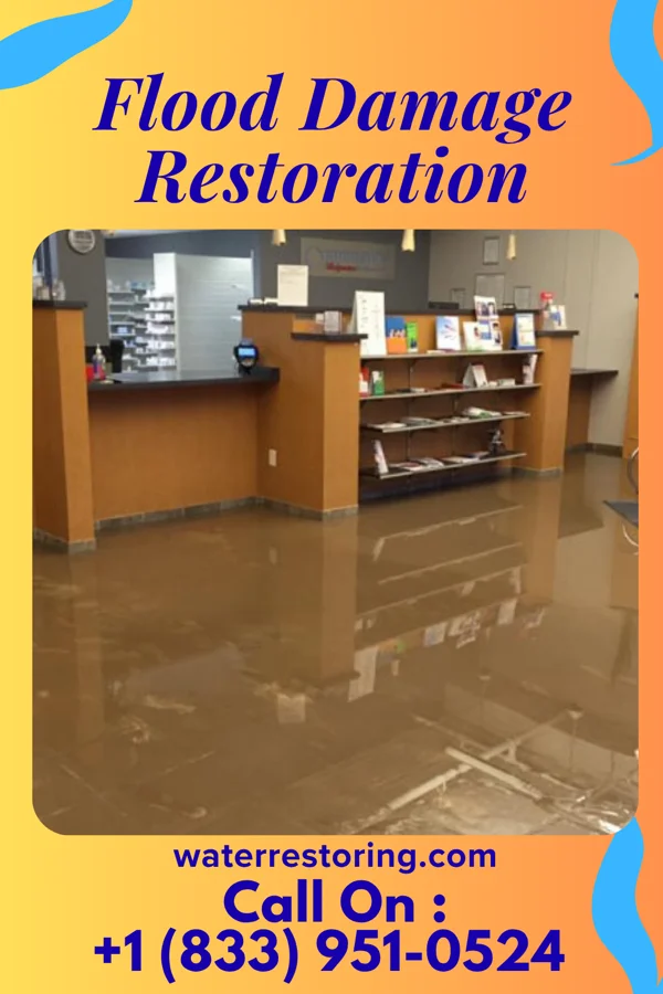 Flood Damage Restoration in Winfield, IL