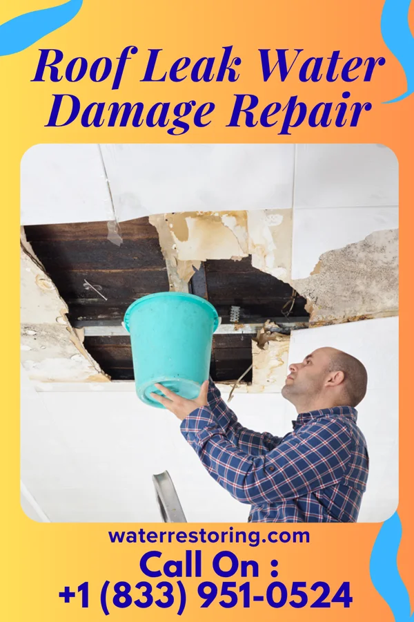 Roof Leak Water Damage Repair in Winfield, IL